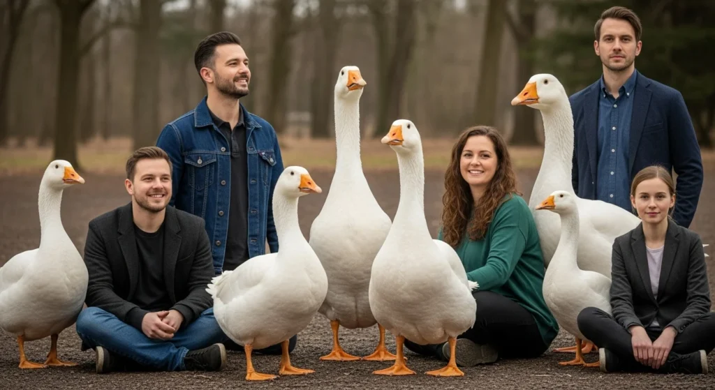 geese puns